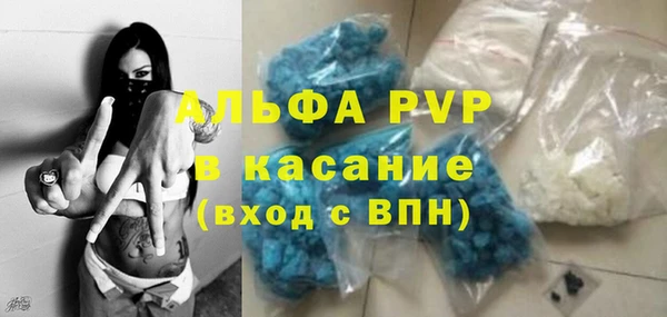 сатива Волоколамск
