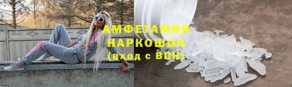 индика Вяземский