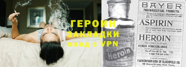 индика Вяземский
