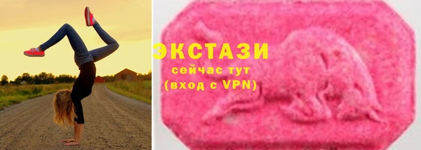 индика Вяземский