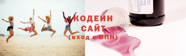 индика Вяземский