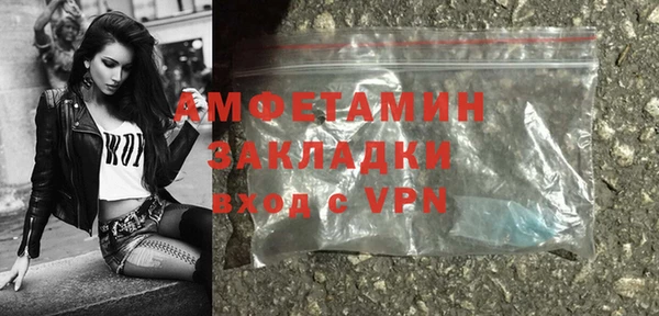 индика Вяземский