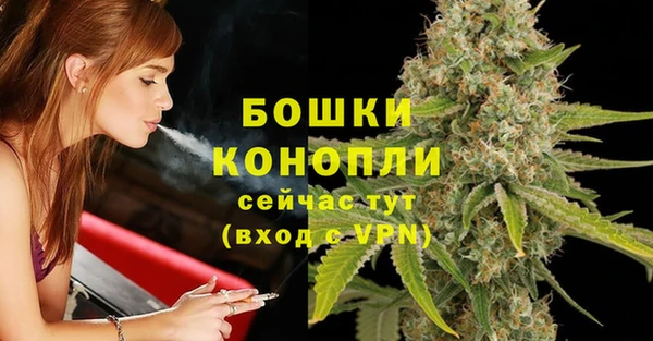 индика Вяземский