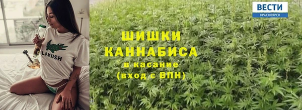 сатива Волоколамск