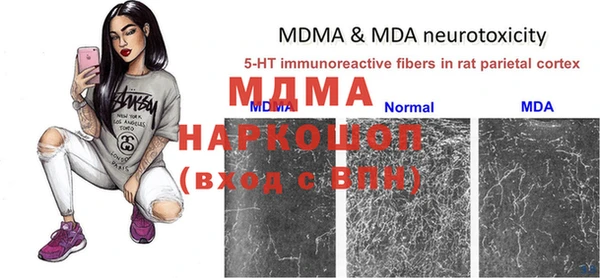 индика Вяземский