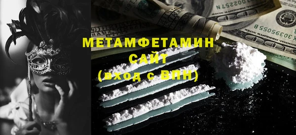 индика Вяземский