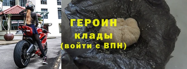 индика Вяземский
