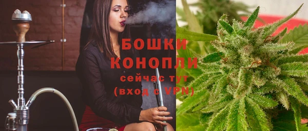 сатива Волоколамск