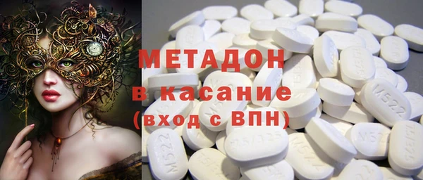 индика Вяземский
