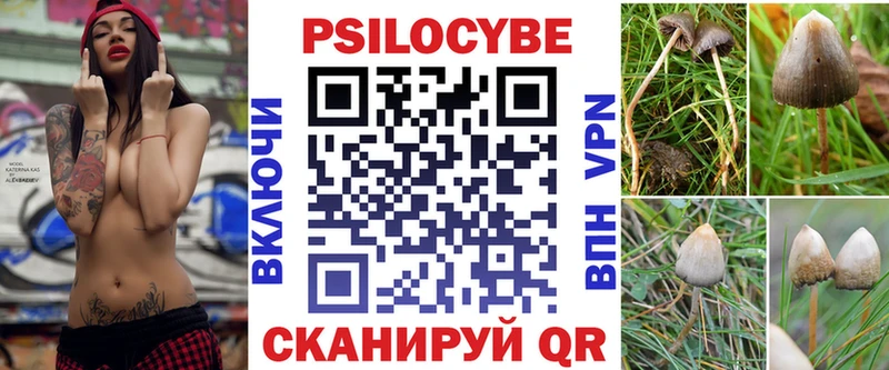 Псилоцибиновые грибы мицелий  как найти наркотики  Каменск-Шахтинский 